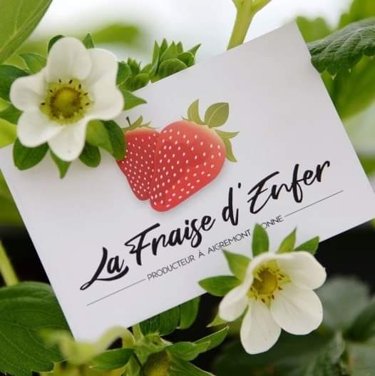 Logo Fraise d'enfer Logo Fraise d'enfer