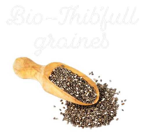 logobio-thib'full graines logo bio-thib'full graines