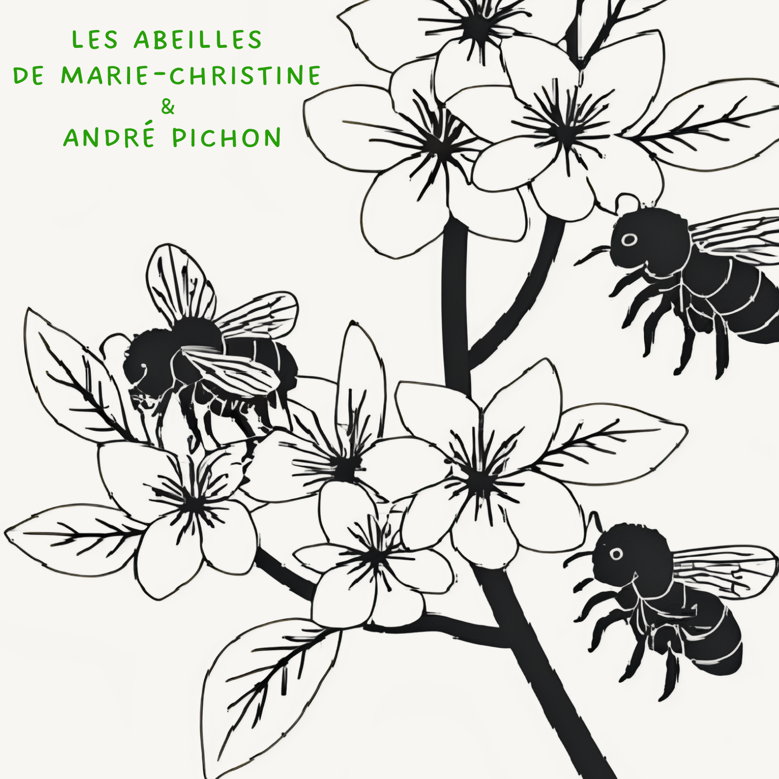logo miel Pichon Logo miel André Pichon
